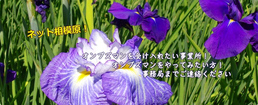 lbg݂͂ 摜2