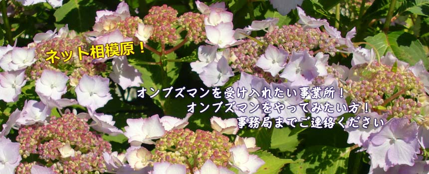 lbg݂͂ 摜3